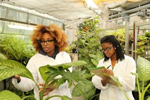 Students observing plants in greenhouse